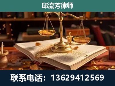 新平-新型网络犯罪